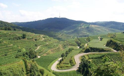 Landgasthof Zum Lamm Bahlingen  Luaran gambar